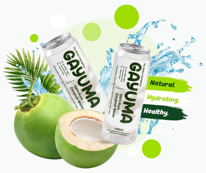 Two Gayuma 500ml cans with coconut water splash, palm leaves, fresh coconuts, and Natural Hydrating Healthy brush labels